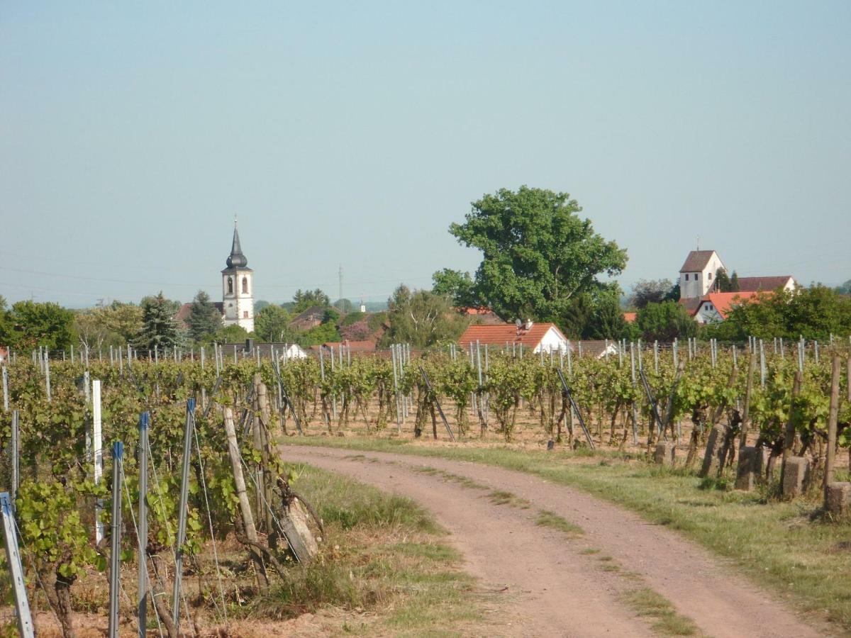 Ferienwohnung Suedpfalz Weingarten  Luaran gambar